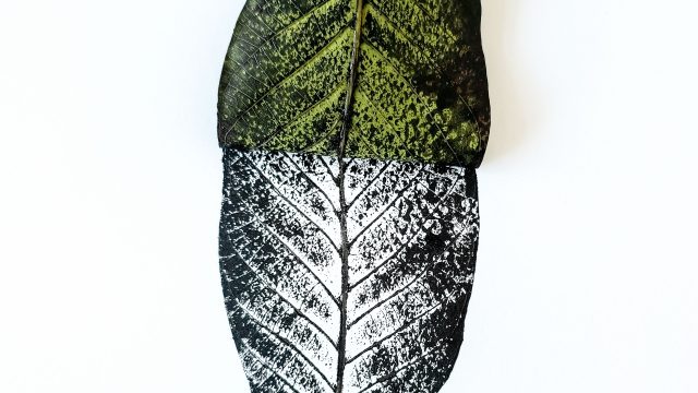 Ilustrasi selembar daun hijau di samping cetakan hitam tulang daun yang sama.