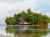 Rumah panggung sederhana di tepi air dikelilingi pepohonan di Papua