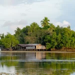 Rumah panggung sederhana di tepi air dikelilingi pepohonan di Papua