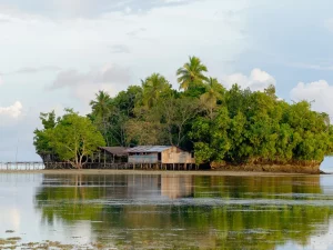 Rumah panggung sederhana di tepi air dikelilingi pepohonan di Papua