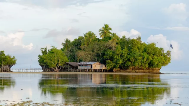 Rumah panggung sederhana di tepi air dikelilingi pepohonan di Papua