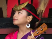 Ilustrasi seorang perempuan berbusana adat memainkan alat musik berdawai