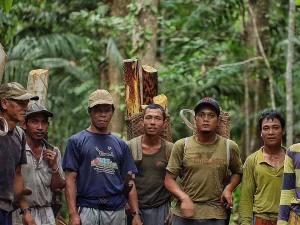Sekelompok laki-laki berdiri di dalam hutan sambil menggendong kayu dan keranjang anyaman