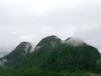 Kabut menyelimuti hutan Pegunungan Meratus di Loksado, Hulu Sungai Selatan, Kalimantan Selatan, wilayah tempat tumbuhan obat Dayak Meratus tumbuh.