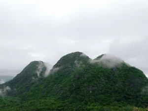 Kabut menyelimuti hutan Pegunungan Meratus di Loksado, Hulu Sungai Selatan, Kalimantan Selatan, wilayah tempat tumbuhan obat Dayak Meratus tumbuh.