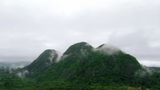 Kabut menyelimuti hutan Pegunungan Meratus di Loksado, Hulu Sungai Selatan, Kalimantan Selatan, wilayah tempat tumbuhan obat Dayak Meratus tumbuh.