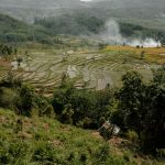 Ilustrasi ladang bertingkat di lereng berhutan dengan barisan bukit di kejauhan.