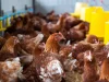 Ilustrasi ayam petelur pada kandang sistem bebas sangkar dengan tempat pakan