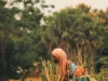 Ilustrasi petani memanen di ladang, pekerjaan yang di Gambia bersaing dengan perluasan industri