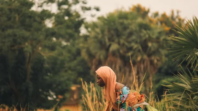 Ilustrasi petani memanen di ladang, pekerjaan yang di Gambia bersaing dengan perluasan industri