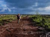 Jalan tanah menuju kawasan hutan lindung di Kalimantan Barat yang diapit lahan kebun sawit