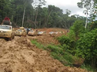 Iring-iringan mobil melintasi ruas jalan tanah berlumpur di tengah hutan Papua Barat