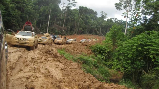Iring-iringan mobil melintasi ruas jalan tanah berlumpur di tengah hutan Papua Barat