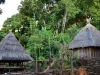 Dua rumah adat beratap ilalang berbentuk kerucut di Kampung Adat Takpala, Pulau Alor