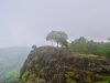 Bukit batu Gunung Api Purba Nglanggeran di Gunungkidul ditumbuhi rumput dan sebatang pohon dengan kabut di kejauhan.