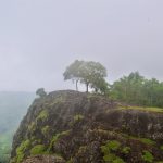 Bukit batu Gunung Api Purba Nglanggeran di Gunungkidul ditumbuhi rumput dan sebatang pohon dengan kabut di kejauhan.