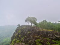 Bukit batu Gunung Api Purba Nglanggeran di Gunungkidul ditumbuhi rumput dan sebatang pohon dengan kabut di kejauhan.