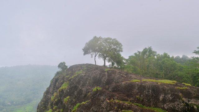 Bukit batu Gunung Api Purba Nglanggeran di Gunungkidul ditumbuhi rumput dan sebatang pohon dengan kabut di kejauhan.