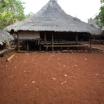 Rumah beratap ilalang dan bangunan panggung kayu di Karawatung, Pulau Solor