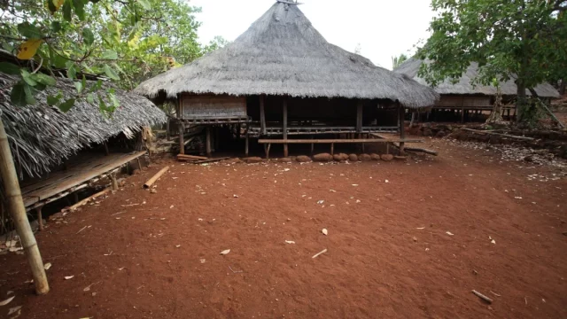 Rumah beratap ilalang dan bangunan panggung kayu di Karawatung, Pulau Solor