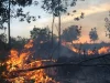 Kepulan asap dari kebakaran hutan dan lahan