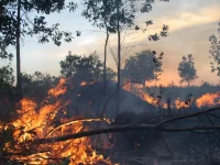 Kepulan asap dari kebakaran hutan dan lahan