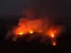 Api dan asap tebal membakar area hutan yang ditebang di Apuí, Amazonas, Brasil