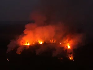 Api dan asap tebal membakar area hutan yang ditebang di Apuí, Amazonas, Brasil