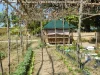 Kebun sayur di lingkungan sekolah dasar Palasinan, Cabiao, Nueva Ecija, Filipina.