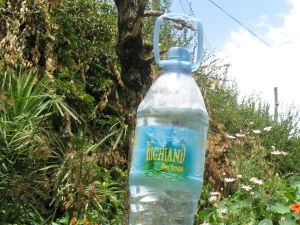 Botol air bergagang digantung terbalik di dahan pohon sebagai keran cuci tangan sederhana