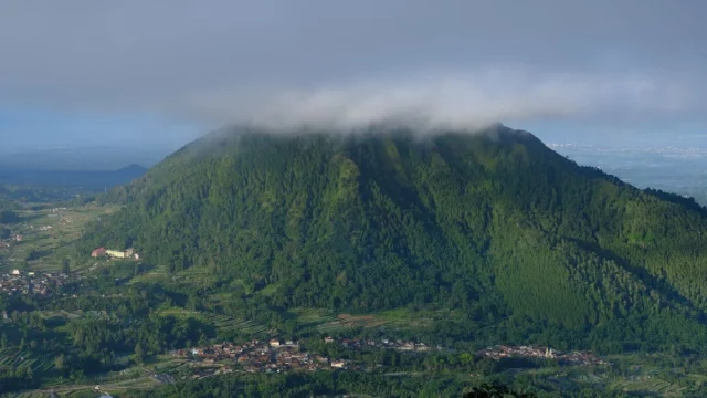 Ilustrasi Gunung Merbabu di Jawa Tengah yang berselimut hijau dan kabut
