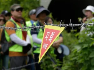 Tanda ranjau di Jalur Damai DMZ Korea