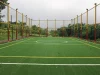 Lapangan futsal rumput sintetis berpagar kawat dengan pepohonan tropis di sekelilingnya