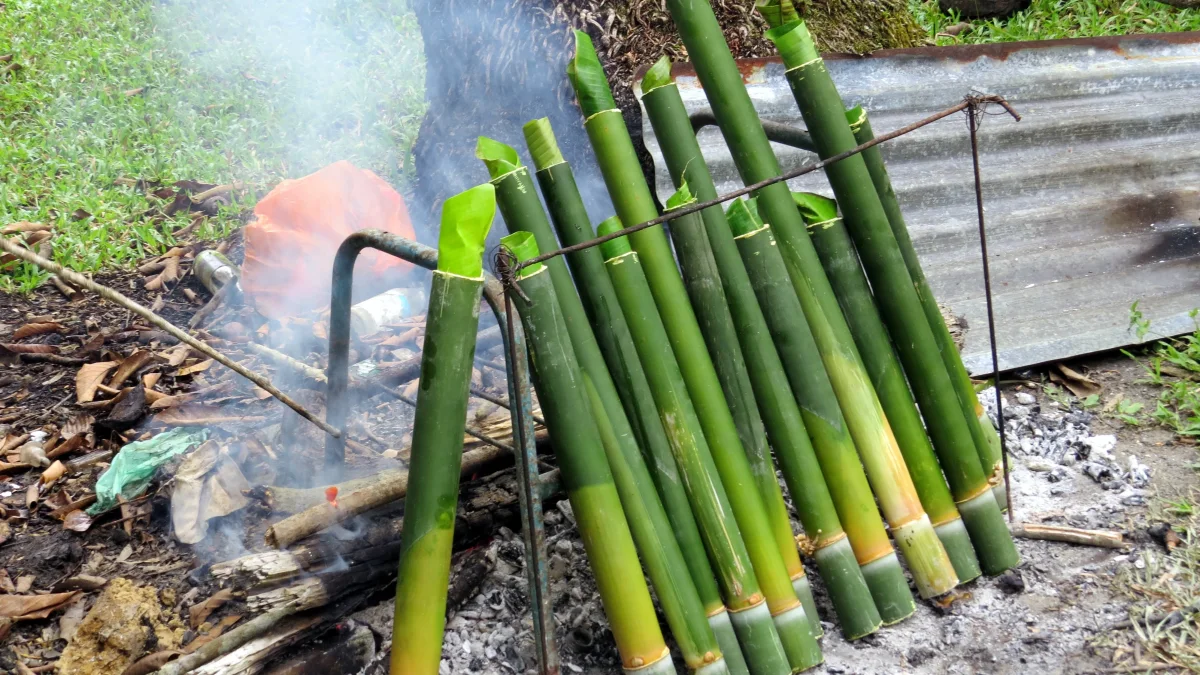 Batang bambu berisi lemang disandarkan pada rangka besi di atas api berasap