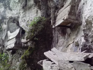 Peti erong tergantung di dinding tebing kapur kompleks makam Toraja di Toraja Utara