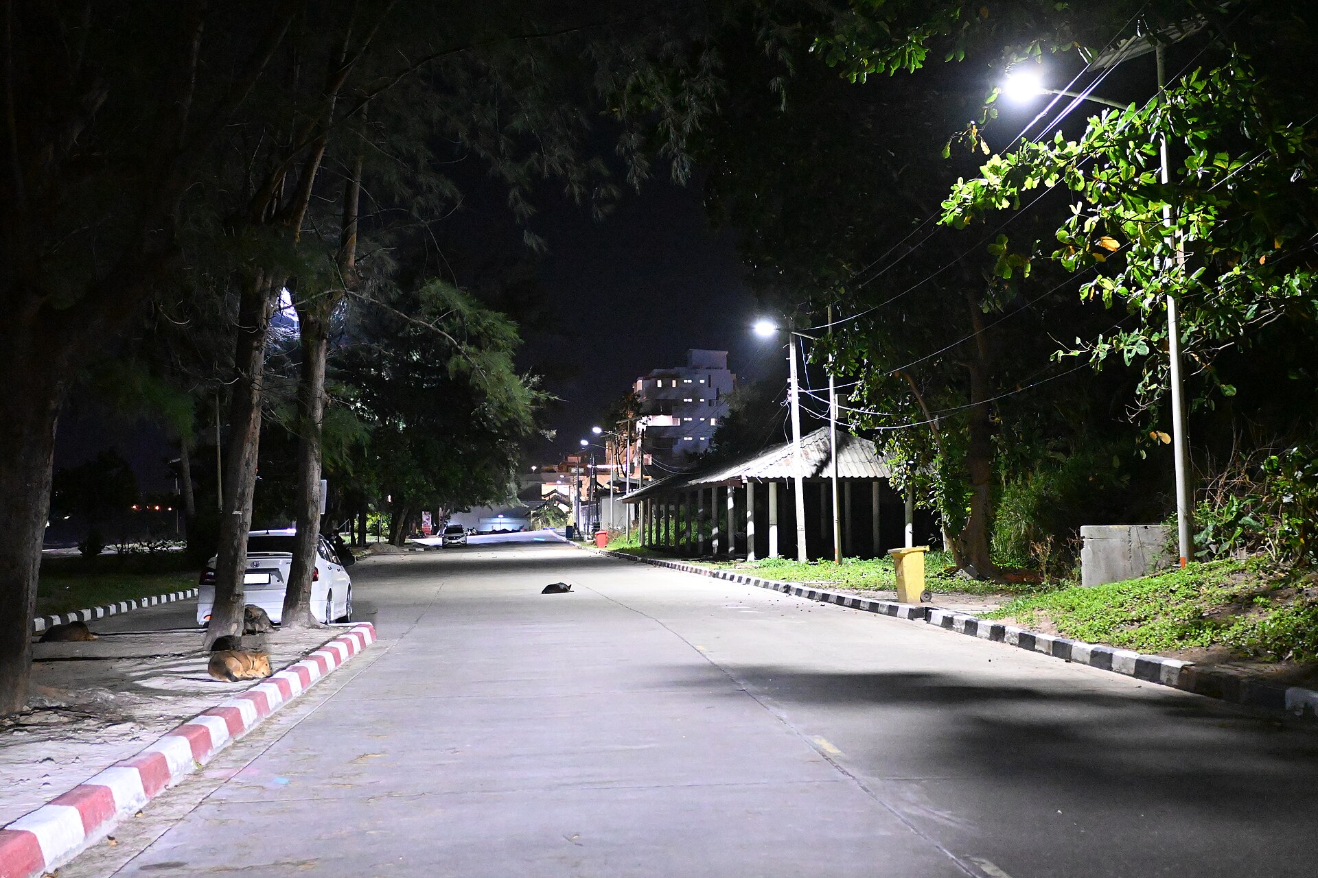 Ilustrasi jalan kota yang lengang pada malam hari di bawah lampu jalan.