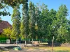 Lapangan SD Negeri 01 Tumpakkepuh dengan tiang bendera dan pohon cemara tanpa siswa