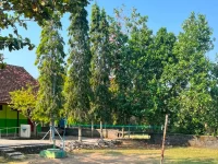 Lapangan SD Negeri 01 Tumpakkepuh dengan tiang bendera dan pohon cemara tanpa siswa