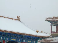 Pemandangan musim dingin bersalju di Beijing, Tiongkok