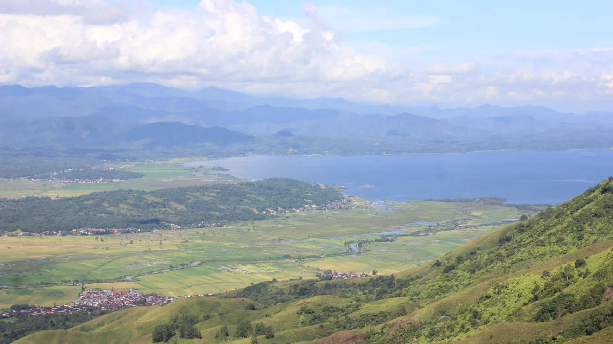 Pemandangan Danau Kerinci dan hamparan sawah dilihat dari ketinggian Bukit Kayangan