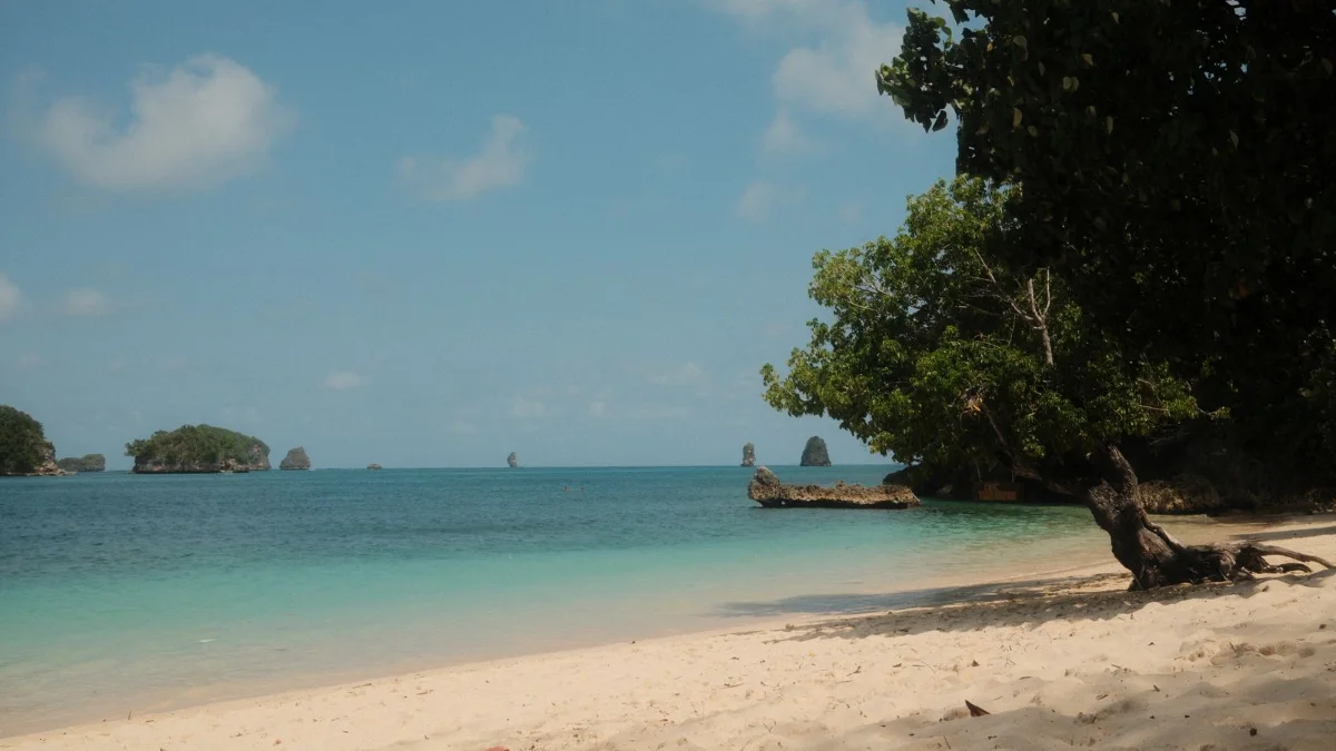 Pantai berpasir putih dengan pohon rindang dan pulau karang di kejauhan