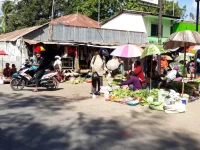 Pedagang sayur berjualan di bawah payung warna-warni di Pasar Penfui