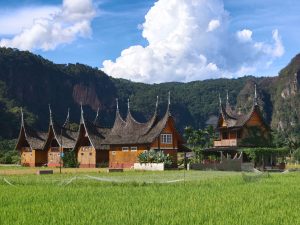 Ilustrasi rumah gadang beratap gonjong di tengah hamparan sawah dengan perbukitan di latar belakang.