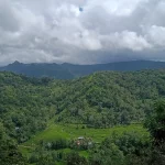 Ilustrasi perbukitan berhutan dan sawah berteras di kawasan adat Karampuang, Kabupaten Sinjai, Sulawesi Selatan
