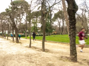 Beberapa orang berlari di jalur tanah berpepohonan Taman El Retiro, Madrid, Spanyol