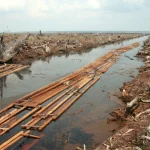 Lahan hutan Riau yang dibuka dengan kayu dirakit di kanal buatan pada 2006
