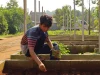 Pemuda berkaus garis jongkok menabur benih di bedeng kebun komunitas, Jawa Barat