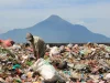 Pemulung memungut sampah plastik di tempat pembuangan sampah, Sidoarjo