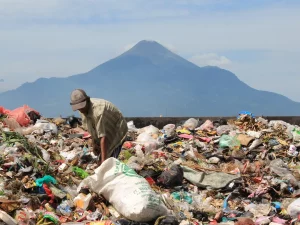 Pemulung memungut sampah plastik di tempat pembuangan sampah, Sidoarjo