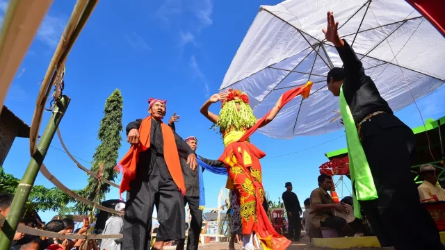 Penari Seblang Olehsari bermahkota omprog menari di bawah payung, Banyuwangi